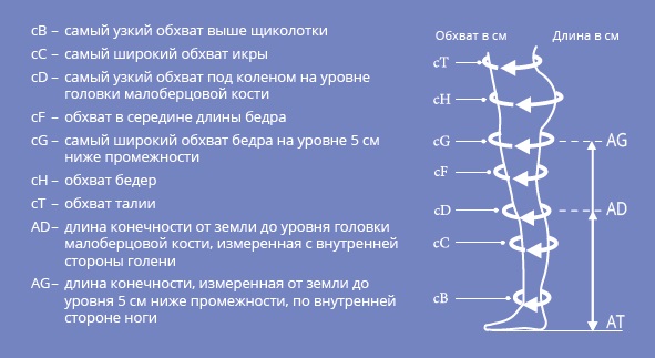 Таблица измерения ноги