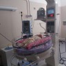 Система открытая реанимационная для интенсивной терапии новорожденных детей Phoenix CIC 101 (2017 года выпуска)